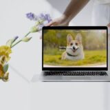 ペットシッターのホームページを制作しました。